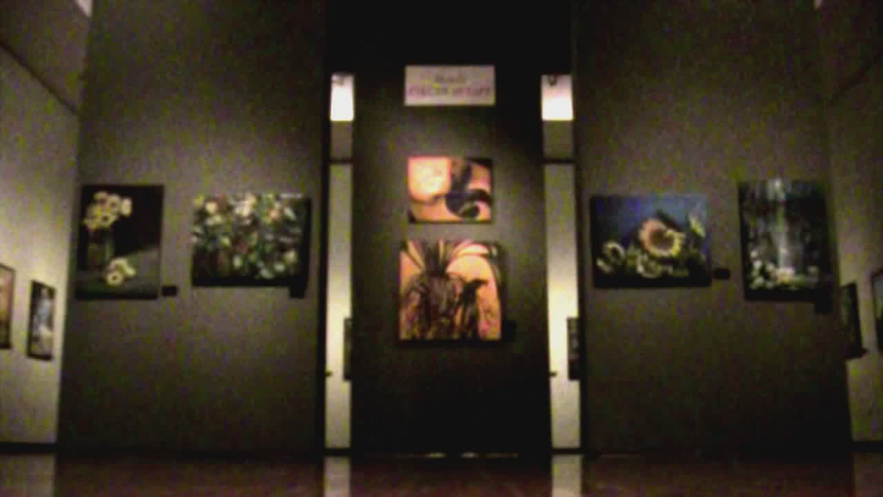 Load video: Morri Pieces of Life Solo Art Exhibition