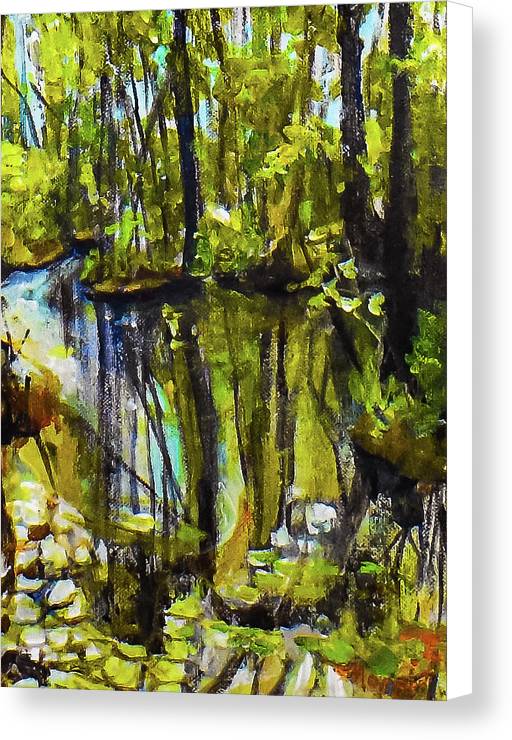 Creek, after rain - Canvas Print