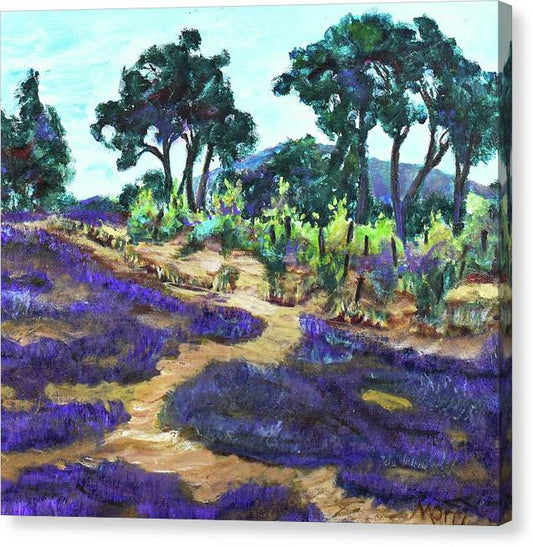 Provence France, Lavender - 'en plein air - Canvas Print