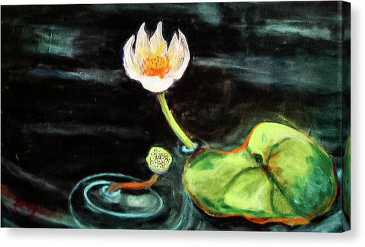 The Seeker, Lotus Flower - Canvas Print