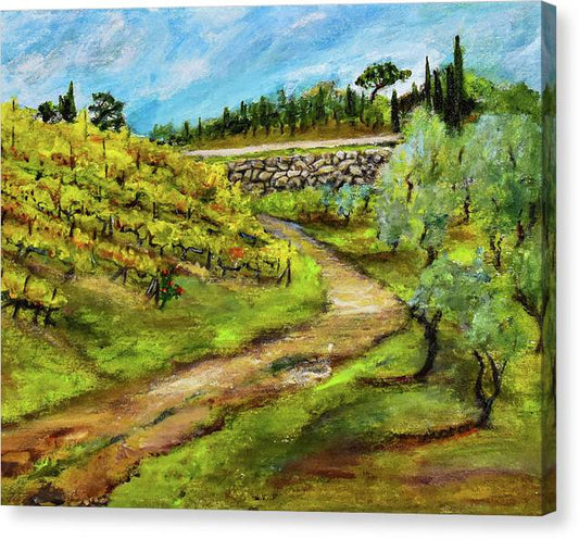 Vineyard Road - Tuscany, Italy 'en plein air - Canvas Print