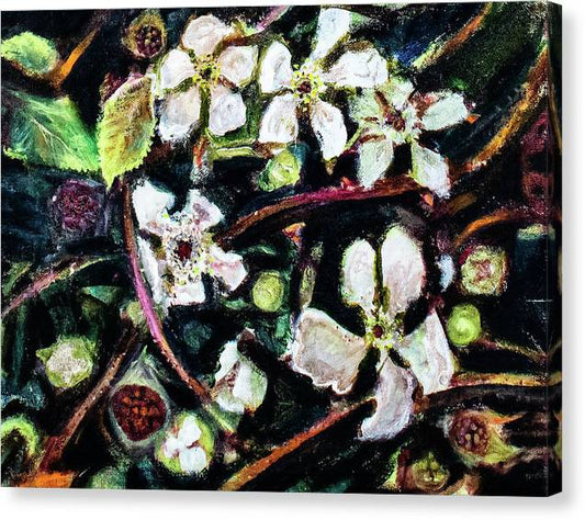 Wild Blackberry Vines - Canvas Print