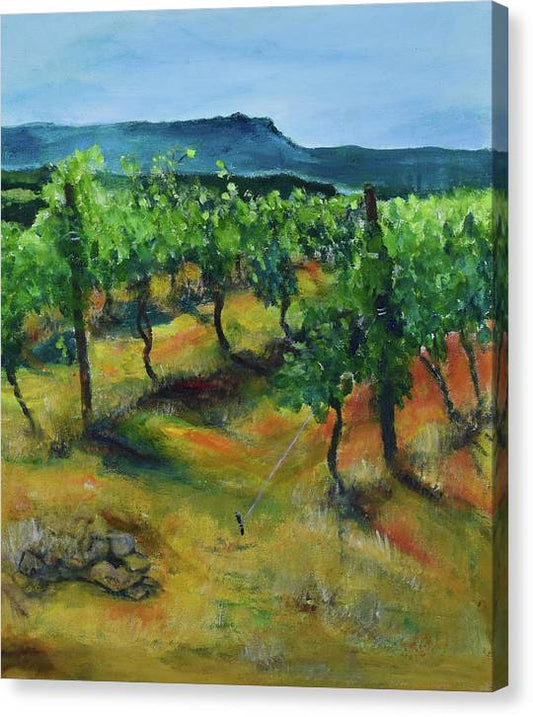 Cezanne's Mountain - Canvas Print