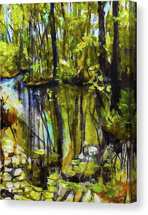 Creek, after rain - Canvas Print