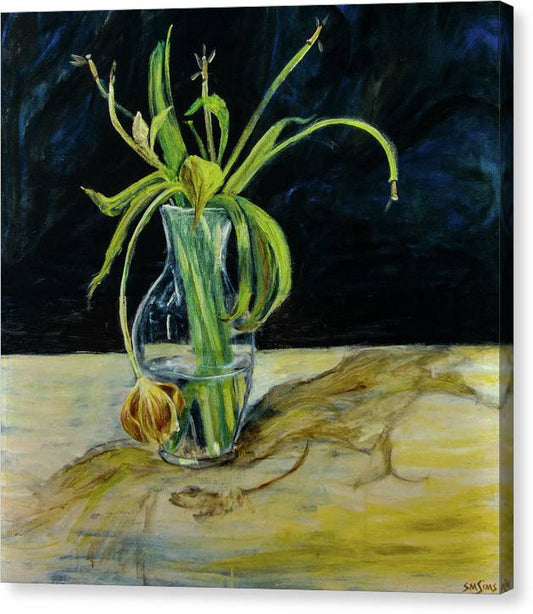 Daffodil Revealed - Canvas Print