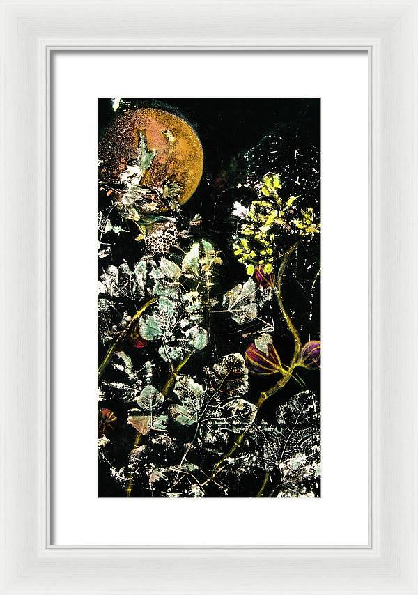 Masked Moon - Framed Print
