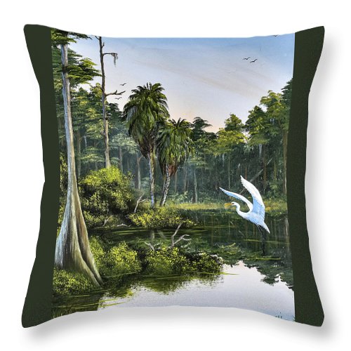 The Cove - early on - Throw Pillow