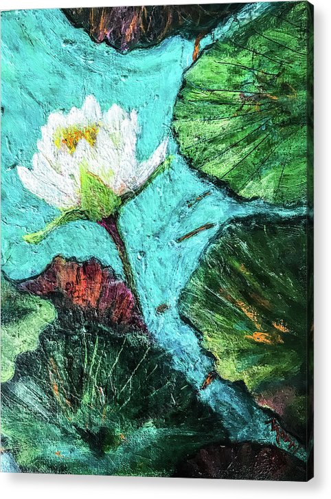 Water Lily Solo, #2 - Acrylic Print