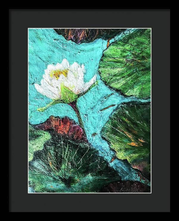 Water Lily Solo, #2 - Framed Print