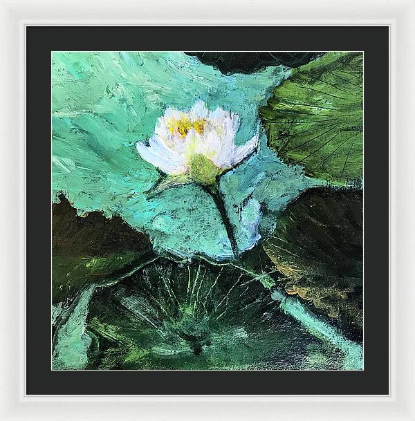 Water Lily, Solo #1 - Framed Print