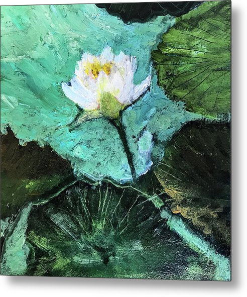 Water Lily, Solo #1 - Metal Print